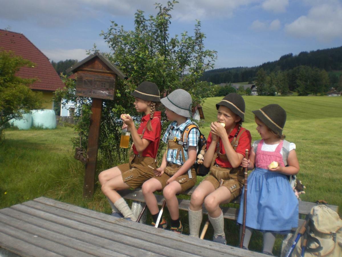 Villa Urlaub Am Bauernhof Grabenhofer Sankt Jakob im Walde Esterno foto