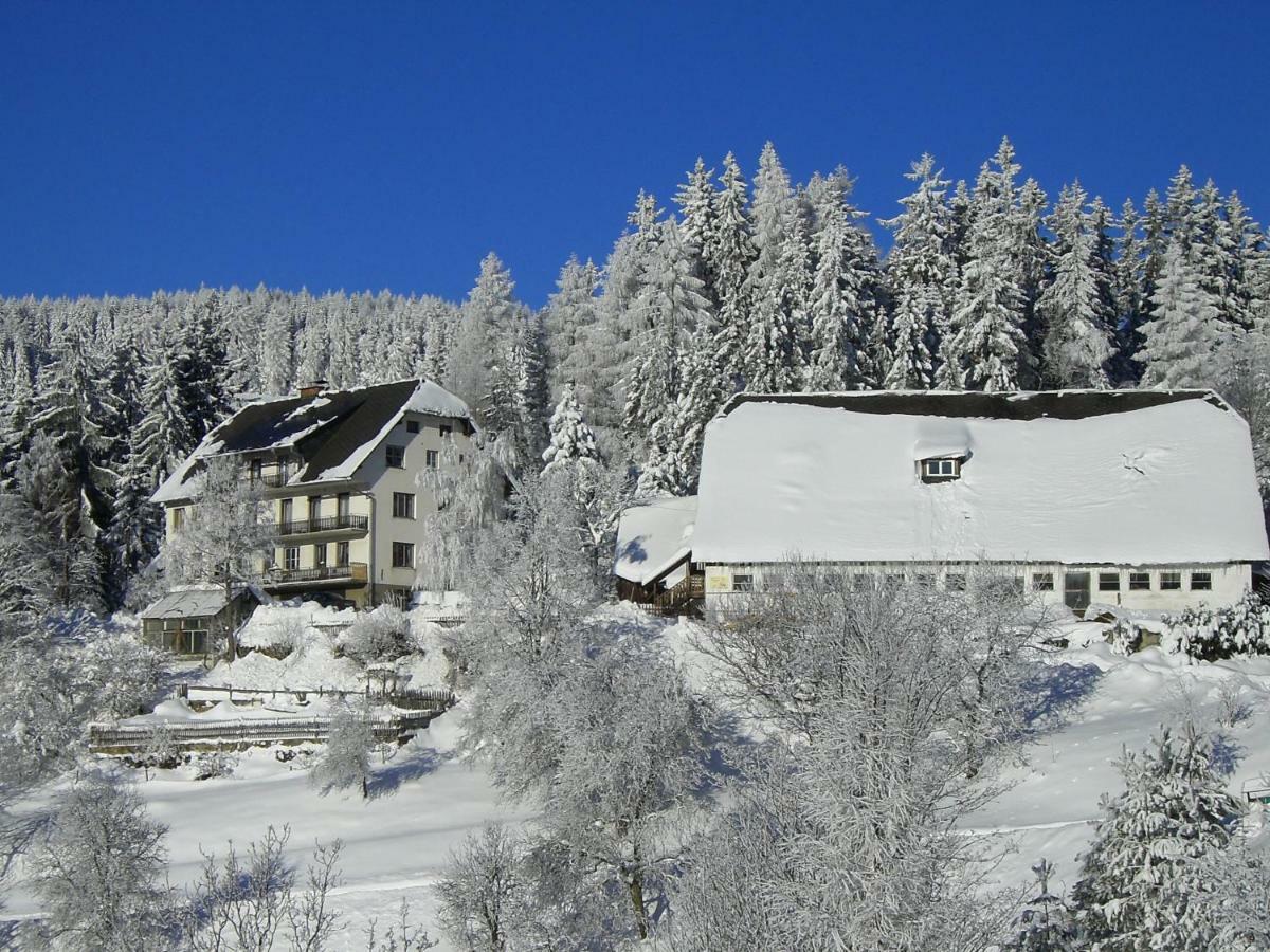 Villa Urlaub Am Bauernhof Grabenhofer Sankt Jakob im Walde Esterno foto